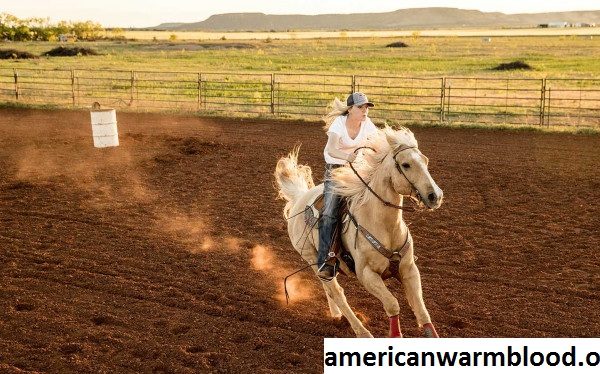 Pacuan Kuda Yang Ada di Texas