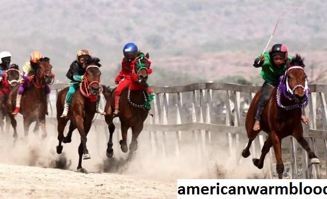 Pacuan Kuda di Texas Dan Sejarah Arena Pacuan Kuda Arlington Downs